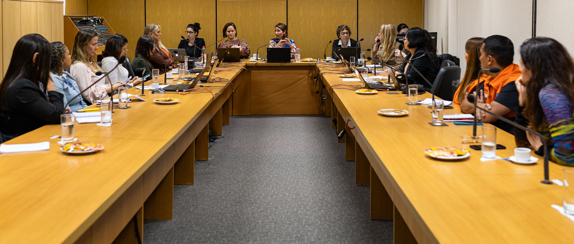 Mesa de trabalho do GT-Feminicídio em formato de 