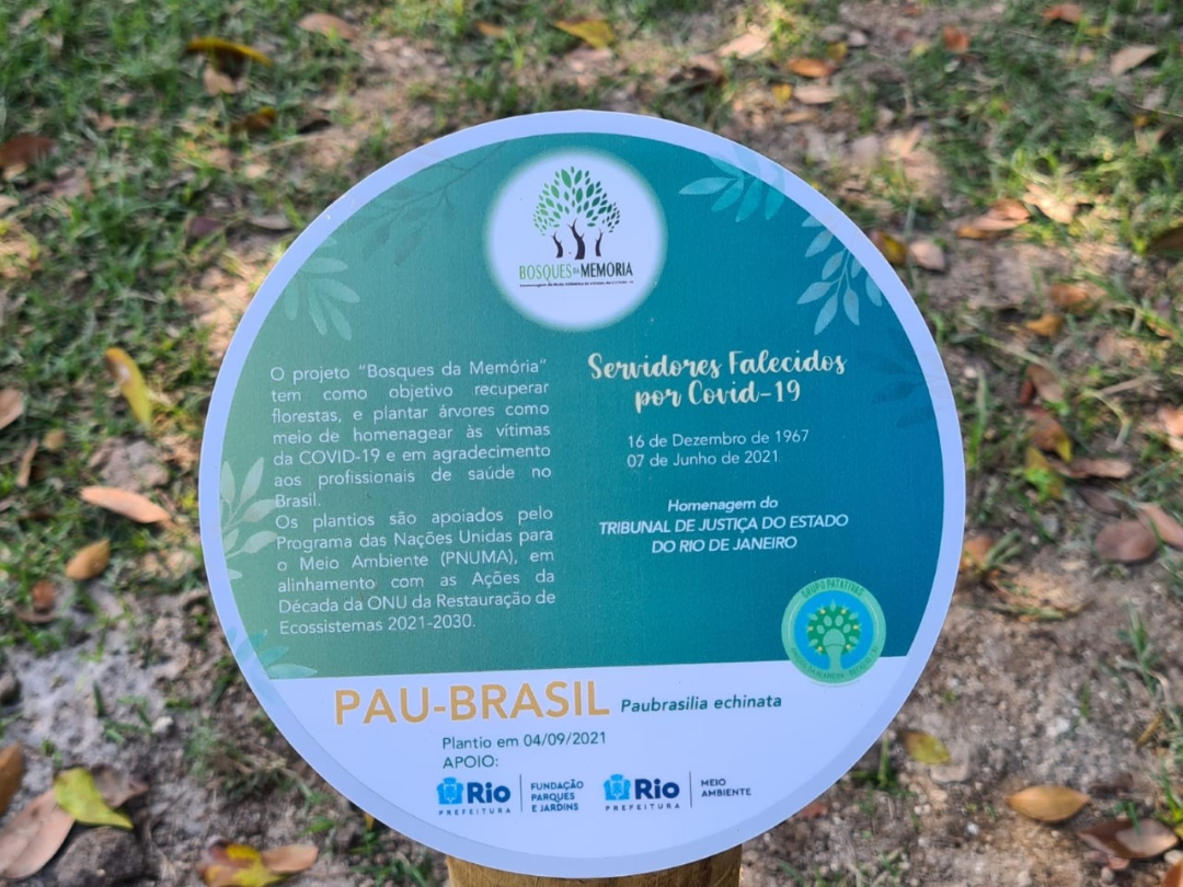 Homenagem: placa que registra plantio da muda de pau brasil