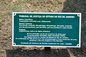 A placa com as especificações da árvore plantada pelo Corregedor-Geral da Justiça, Des. Azevedo Pinto.