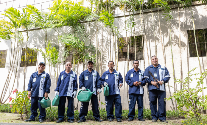 imagem - Os meninos do dedo verde do TJRJ