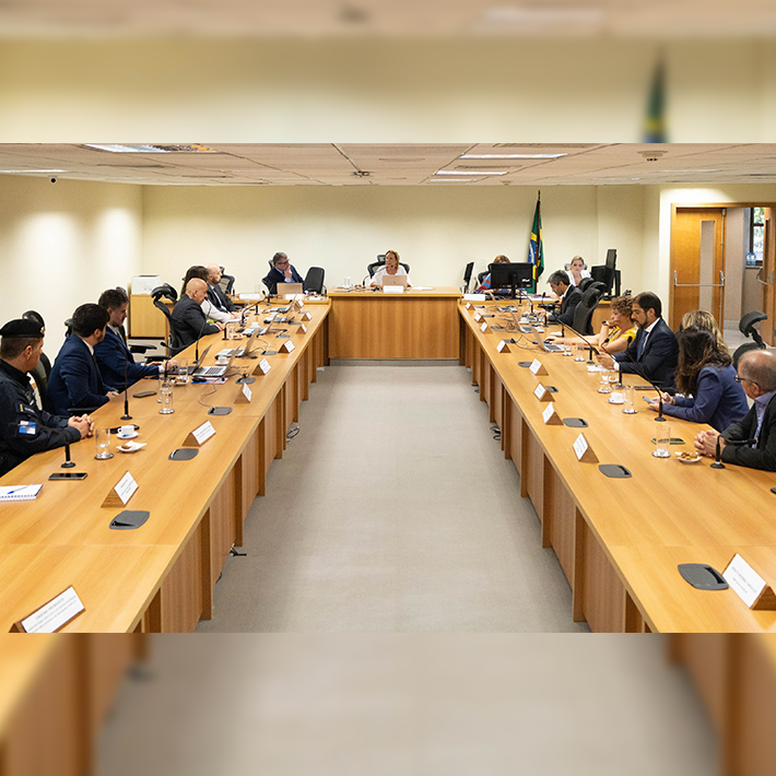 A imagem mostra uma reunião formal. Há duas fileiras de mesas de madeira dispostas em “U”, com vários participantes sentados de ambos os lados. No centro da imagem, no final da formação das mesas, está a 2ª vice-presidente do TJRJ, desembargadora Maria Angélica Guedes, presidindo a reunião, posicionada em frente a um microfone. Atrás dela, há a bandeira do Brasil.