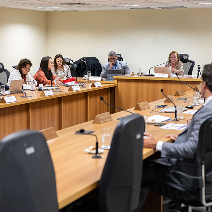 A 2ª vice-presidente do TJRJ, coordenadora e supervisora do GMF/RJ, desembargadora Maria Angélica Guimarães Guerra Guedes, conduziu a reunião desta sexta-feira, 8 de agosto, sobre o plano 