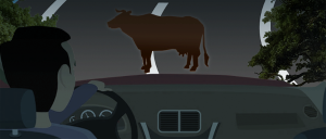 Imagem noturna de uma rodovia, um automóvel conduzido por um homem, na pista, a sua frente, um animal de grande porte.