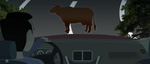 Imagem noturna de uma rodovia, um automóvel conduzido por um homem, na pista, a sua frente, um animal de grande porte. 