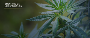 Imagem de plantação de “cannabis sativa”, com fundo desfocado em verde. No canto esquerdo, em cima, em letras brancas, o texto “EMENTÁRIO DE JURISPRUDÊNCIA”.