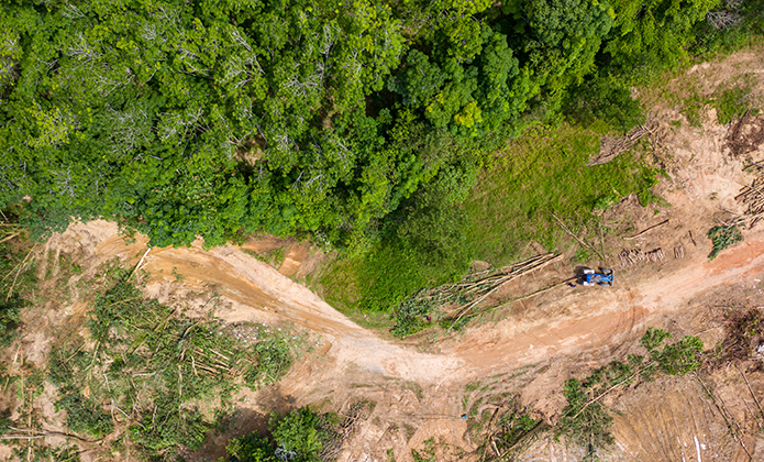 imagem - TJRJ condena homem por crimes ambientais na APA de Macaé de Cima
