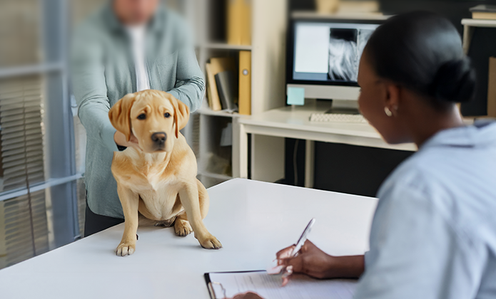 imagem - Recepcionista de hospital veterinário que sofreu ofensas de cunho racial receberá indenização