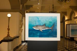 Exposição "Águas de Março"
