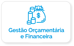 Gestão Orçamentária e Financeira
